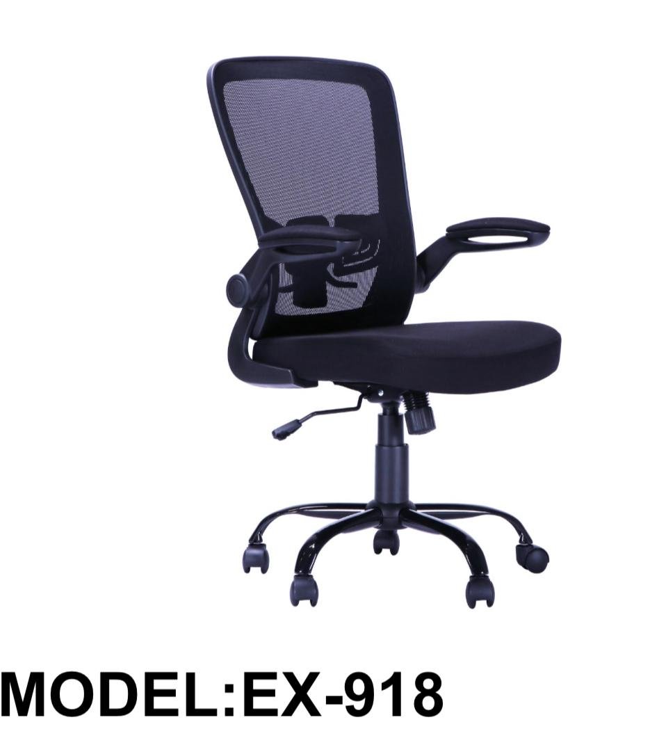 Ergonomic Chair