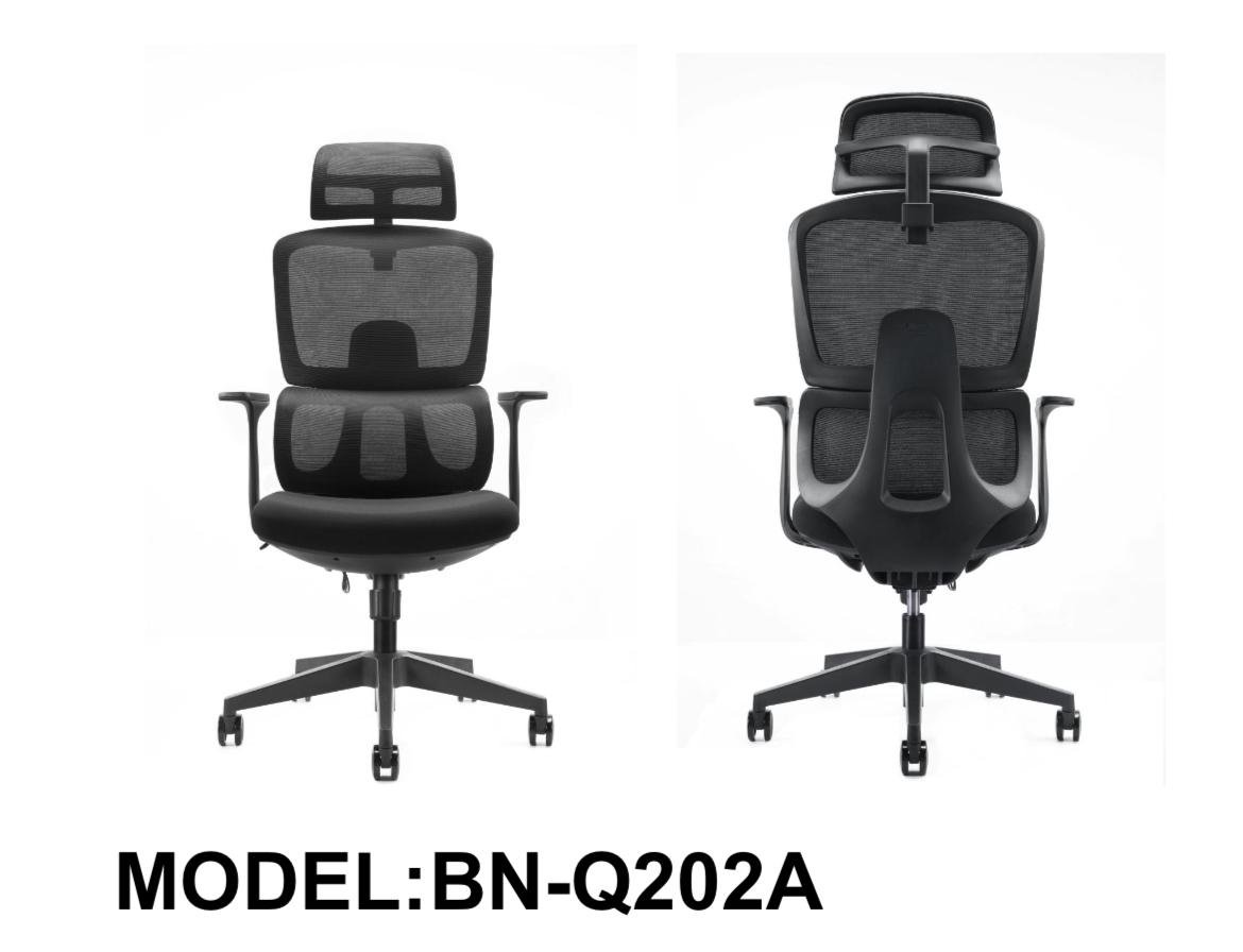Ergonomic Chair
